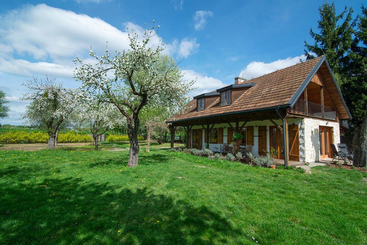 Villa Pod Koniem Kazimierz Dolny Exterior photo