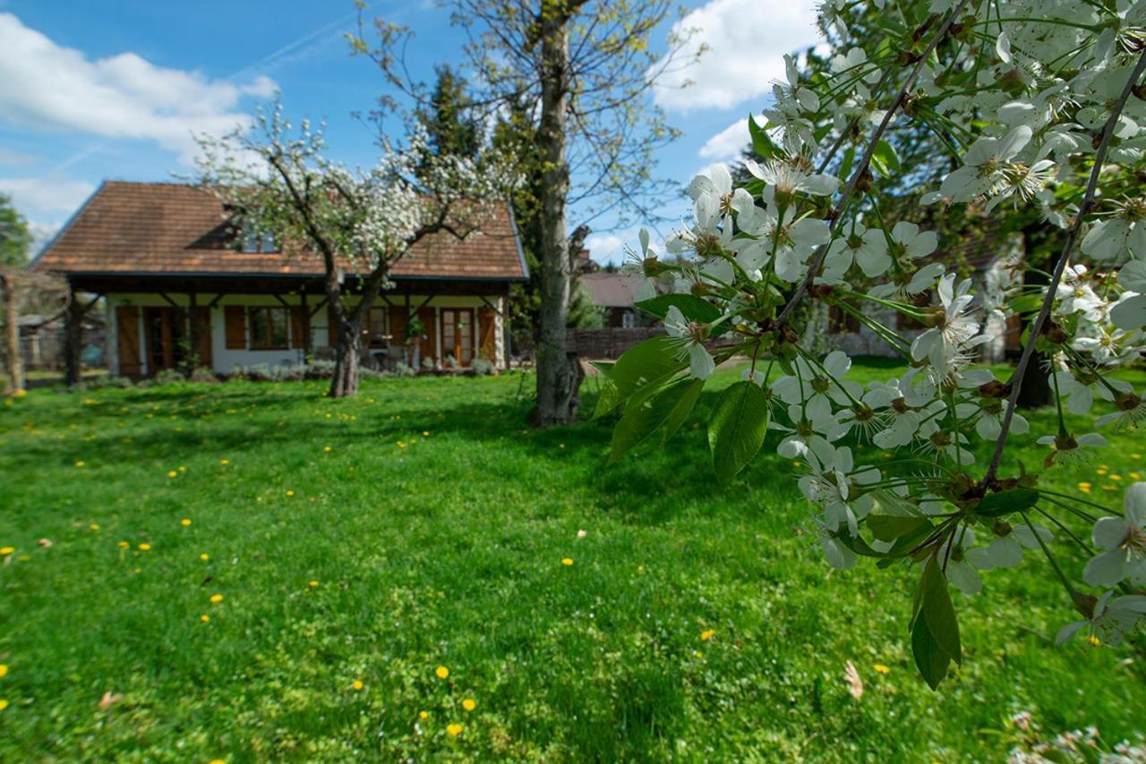 Villa Pod Koniem Kazimierz Dolny Exterior photo